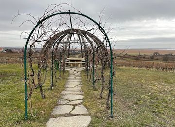 austria/neusiedler-see/attraction/weinlaubenkuppel-oggau