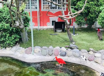 switzerland/zug/attraction/ornithologischer-verein-der-stadt-zug