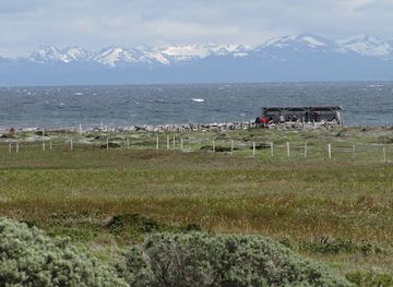 chile/punta-arenas/attraction/seno-otway