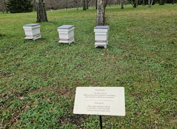 estonia/tallinn/kadriorg/attraction/eesti-vabariigi-presidendi-kantselei-mesitarud