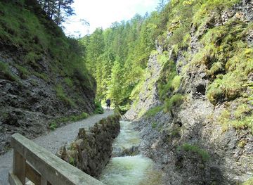 poland/zakopane/attraction/dolina-bialego