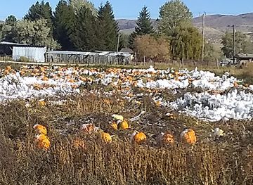 idaho/pocatello/attraction/swore-farms