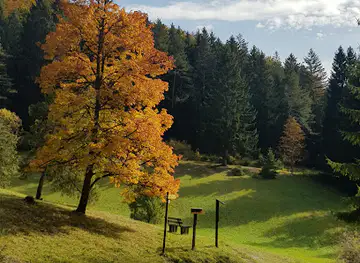 Schlichemquelle