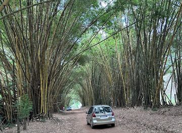 cote-d-ivoire/abidjan-autonomous-district/attraction/botanical-garden