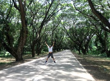 philippines/puerto-princesa/attraction/acacia-tunnel