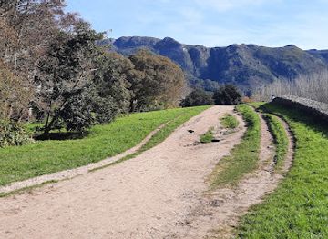 south-africa/cape-town/constantia/attraction/greenbelt