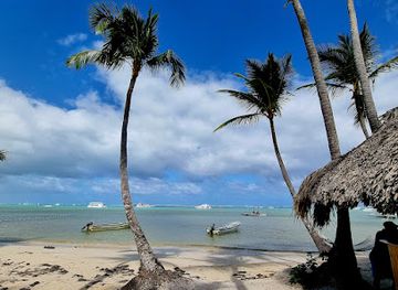 dominican-republic/punta-cana-bavaro/attraction/dolphin-island-park