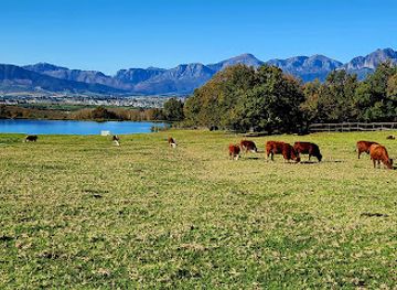south-africa/cape-winelands/attraction/under-oaks-estate