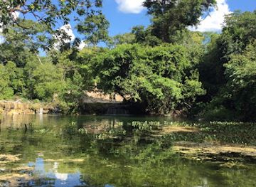 paraguay/concepcion-forest/attraction/arroyo-tagatiya