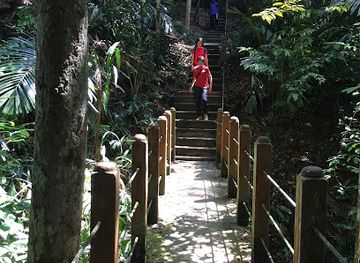 malaysia/taman-negara-national-park/attraction/end-of-canopy-walkway