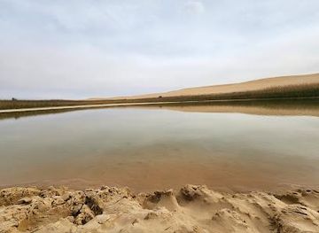 egypt/siwa-oasis/attraction/great-sand-sea-safari-tour-agency-information