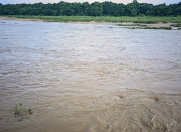 nepal/chitwan-national-park/attraction/east-rapti-riverview