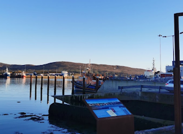 ireland/beara-peninsula/attraction/wild-atlantic-way-discovery-point-castletownbere-harbour