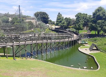 south-africa/gauteng/attraction/montecasino-bird-gardens