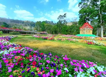 laos/luang-prabang-range/attraction/green-jungle-park