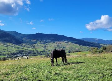 ukraine/dragobrat/attraction/gora-shureva-bukovina