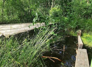 poland/kampinos-national-park/attraction/mostek-na-wilczej-strudze