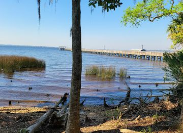 florida/jacksonville/attraction/walter-jones-historic-park