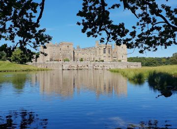 united-kingdom/durham/attraction/raby-castle-deer-park-the-plotters-forest