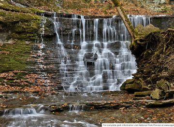 mississippi/natchez-trace-parkway/attraction/natchez-trace-parkway-visitor-center
