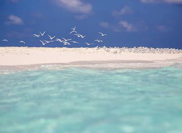 maldives/hulhumale/attraction/aqua-arena-watersports-centre