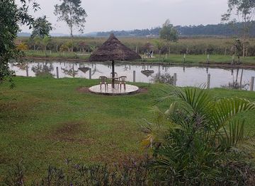 uganda/masaka/attraction/greenville-country-resort-beach