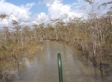 florida/fakahatchee-strand-preserve-state-park/attraction/big-cypress-institute