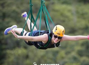 puerto-rico/dorado/attraction/toro-verde-adventure-park