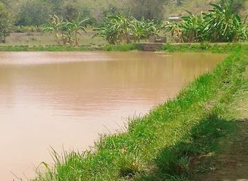 malawi/livingstonia/attraction/my-home-muula