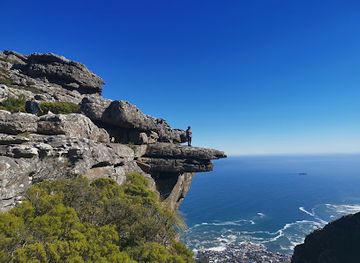 south-africa/table-mountain-national-park/attraction/diving-board