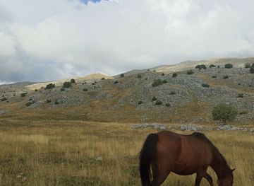 bosnia-and-herzegovina/bjelasnica-mountain/attraction/ravnice-i-pasnjaci-bjelasnice