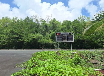 palau/ngeremdiu/attraction/ngemai-conservation-area