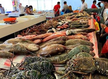 united-arab-emirates/arabian-gulf-coast/attraction/jumeira-fish-market-2