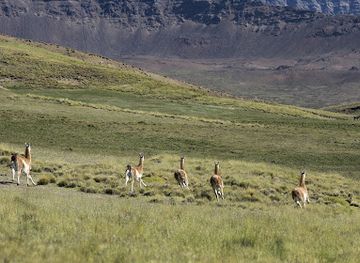 chile/torres-del-paine-national-park/attraction/rio-guanaco