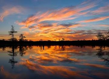 louisiana/river-parishes/attraction/the-atchafalaya-experience