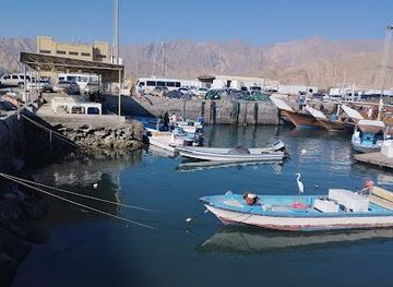 united-arab-emirates/ras-al-khaimah/attraction/musandam-boats