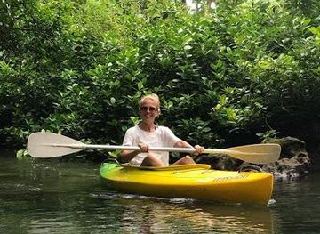 vanuatu/port-vila/attraction/vanuatu-ecotours