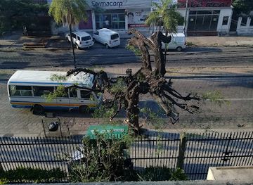 bolivia/pantanal/attraction/noel-kempff-mercado-natural-history-museum