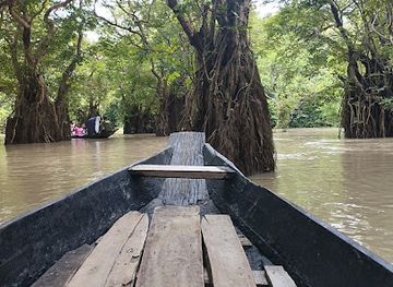 bangladesh/ratargul-swamp-forest/attraction/chaurangi-ghat-ratar-gul