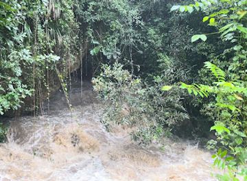 puerto-rico/camuy-river-cave-park/attraction/agua-saliendo-al-pie-del-rio
