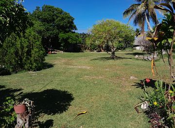 new-caledonia/ouvea-island/attraction/vanilleraie-d-ouvea-ou-ua-huka-vanilleraie