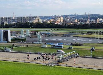 japan/tokyo/attraction/tokyo-racecourse