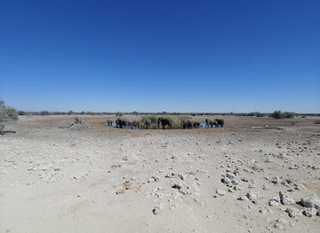 namibia/etosha-national-park/attraction/koinachas