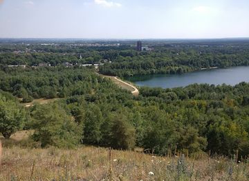 belgium/hoge-kempen-national-park/attraction/regional-landscape-kempen-and-maasland-vzw