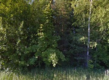 estonia/valga/attraction/pikkjarve-lokkekoht