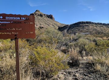 texas/big-bend-national-park/attraction/homer-wilson-ranch