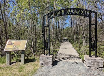 Big Bog State Recreation Area Southern Unit