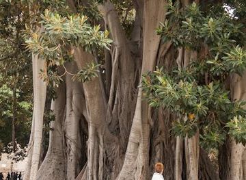 italy/palermo/attraction/piazza-marina