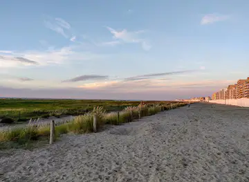 Vlaams Natuurreservaat De Baai Van Heist