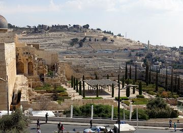 israel/jerusalem/attraction/the-western-wall-heritage-fund-tours-of-forgiveness-group-tours-tours-in-jerusalem-hanukkah-tours-bar-mitzvah-bat-mitzvah-halachah